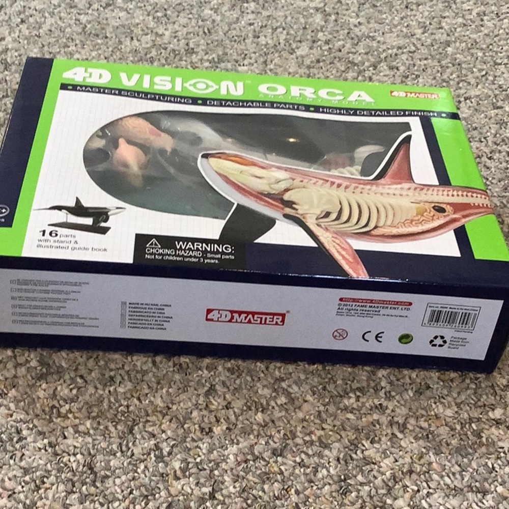 4D  Vision Orca